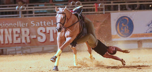 Mateusz Franczak, kaskader konny